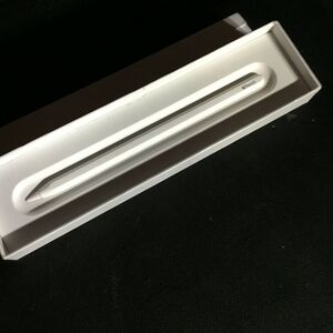 Apple Stylus in Elegant White